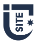 Sydney Institute of Technology and Engineering (SITE) Sydney City logo