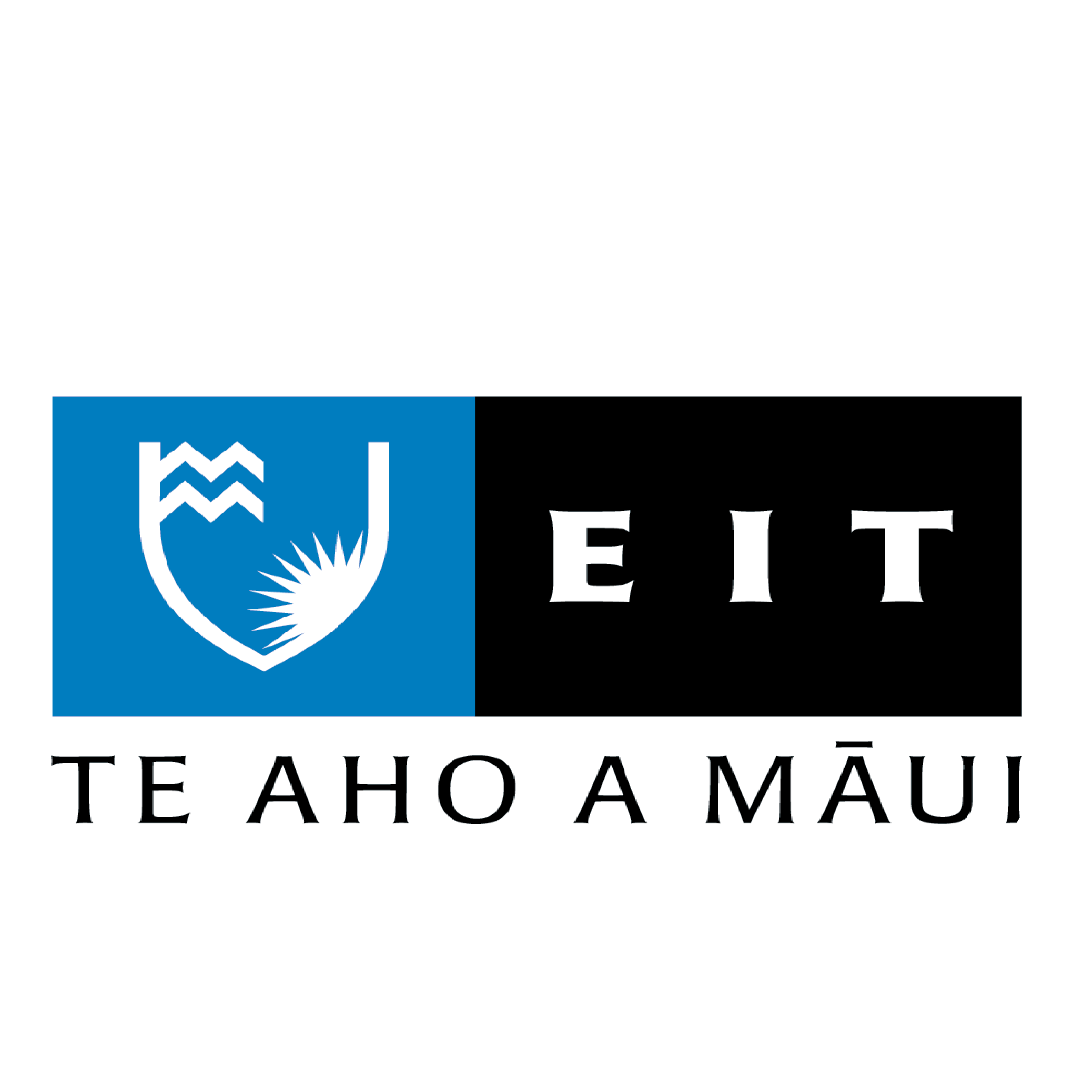 Eastern Institute of Technology, Napier campus logo