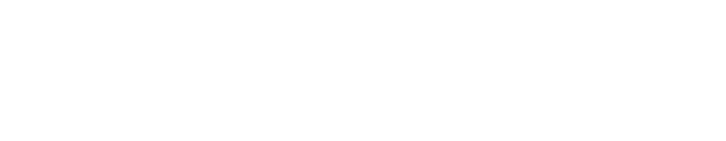 Australian National Institute of Management and Commerce, Perth Campus logo