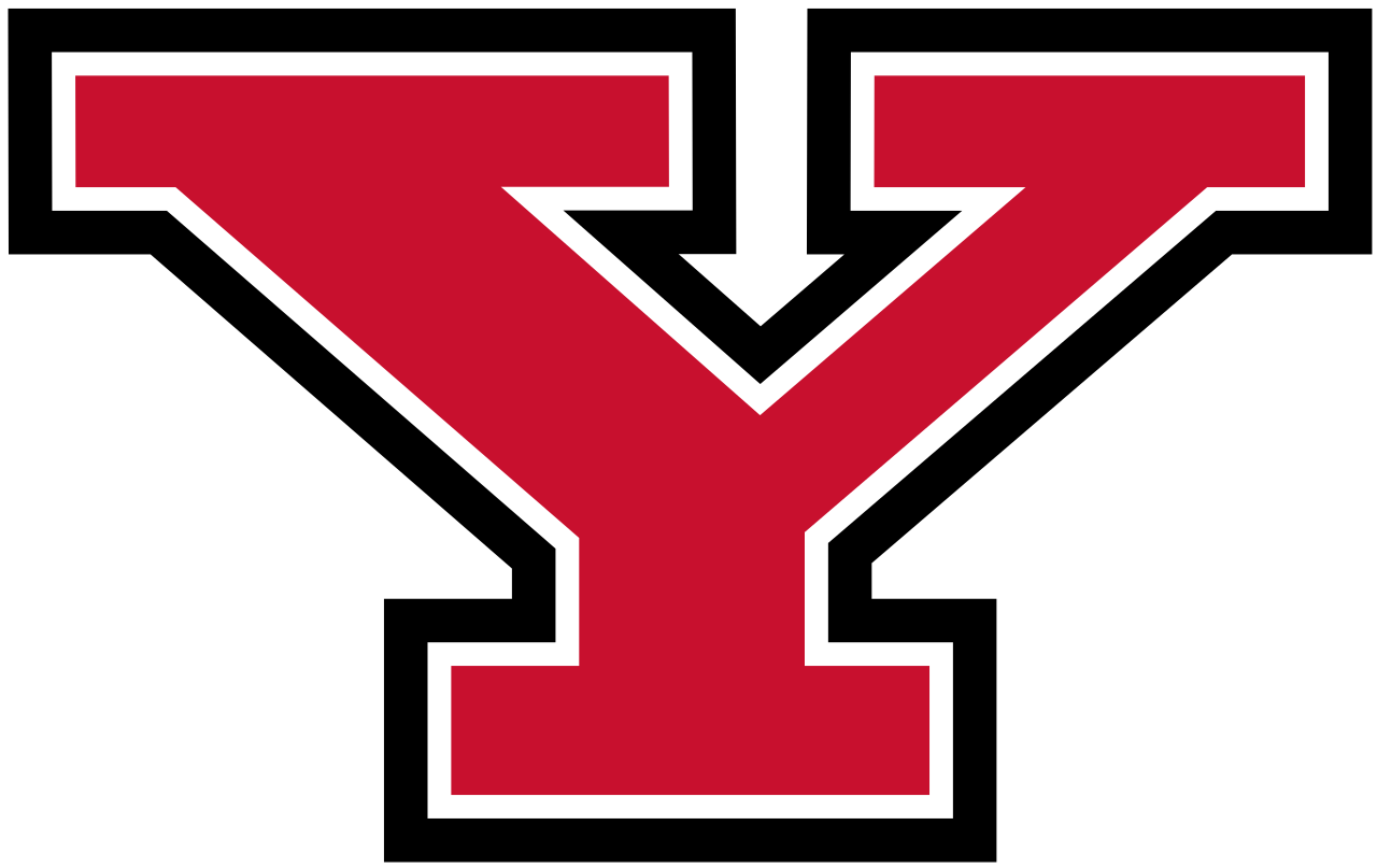 Youngstown State University, Youngstown logo