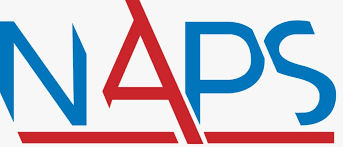 National Academy of Professional Studies, NAPS, Parramatta Campus logo